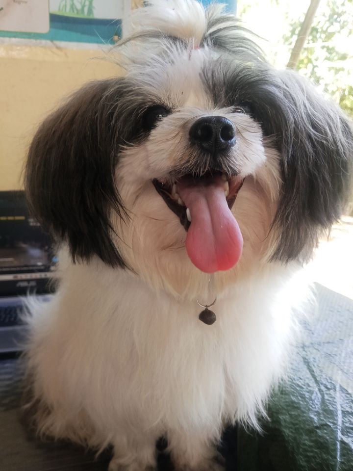 goodnovel comment avatar