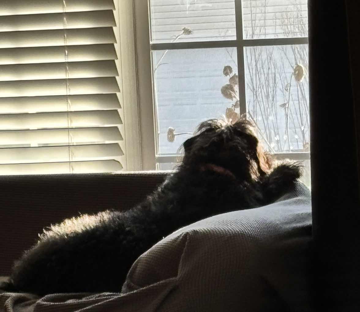 goodnovel comment avatar