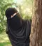 نور الصباح 