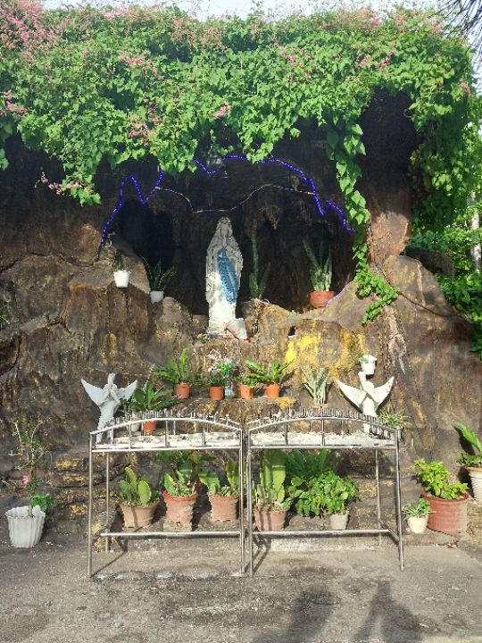 goodnovel comment avatar