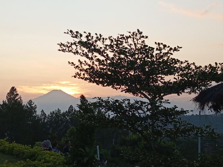 goodnovel comment avatar