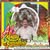 goodnovel comment avatar