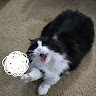 goodnovel comment avatar