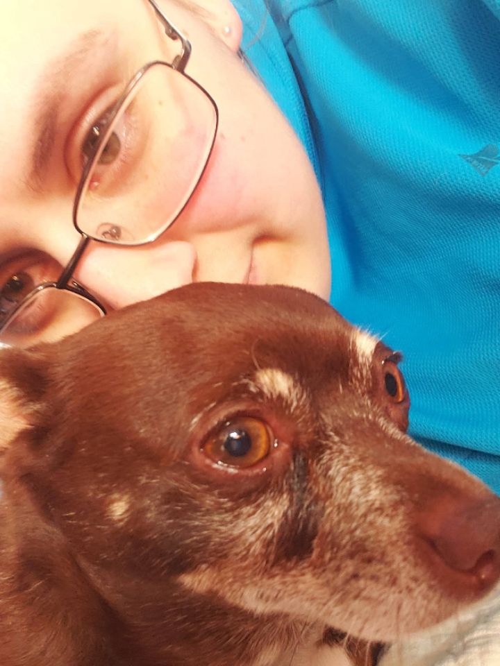 goodnovel comment avatar