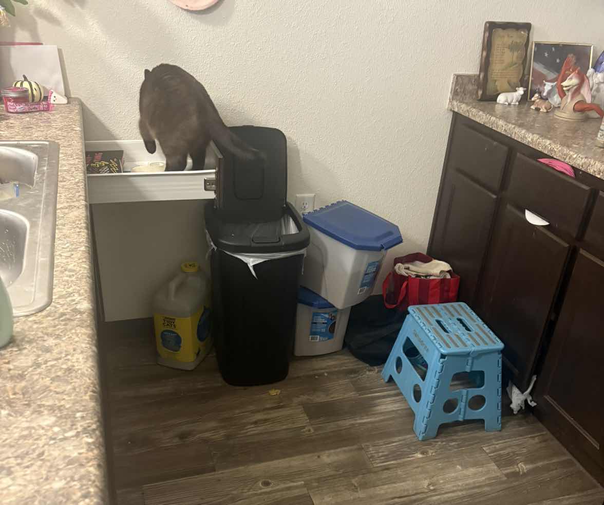 goodnovel comment avatar