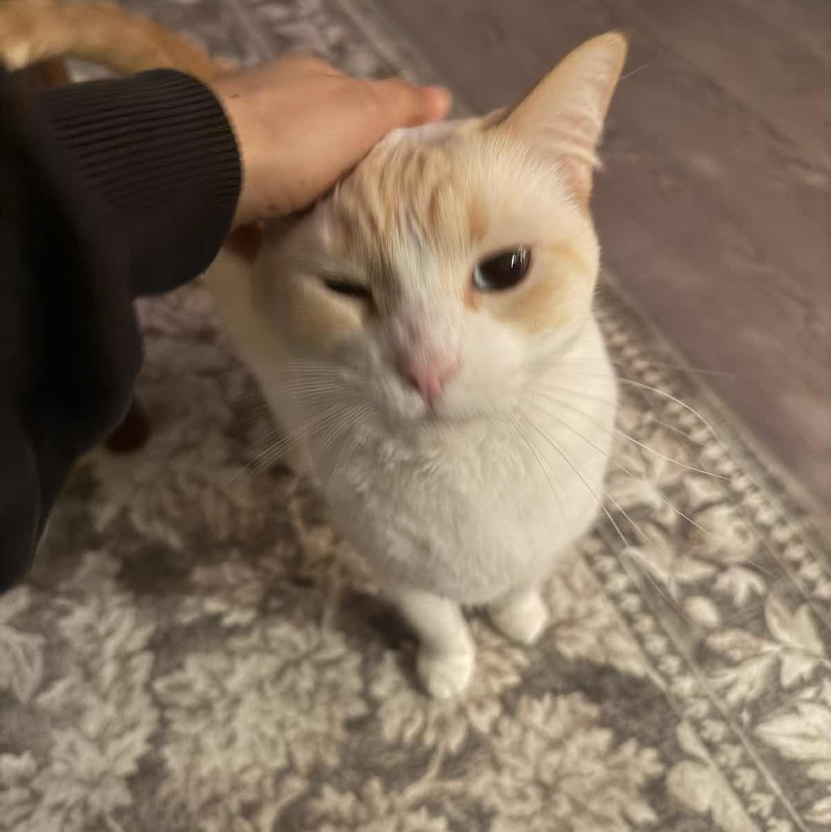 goodnovel comment avatar