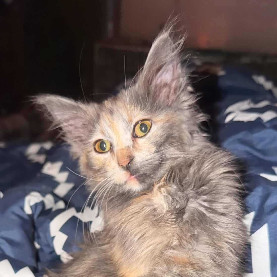 goodnovel comment avatar