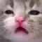눈누난나