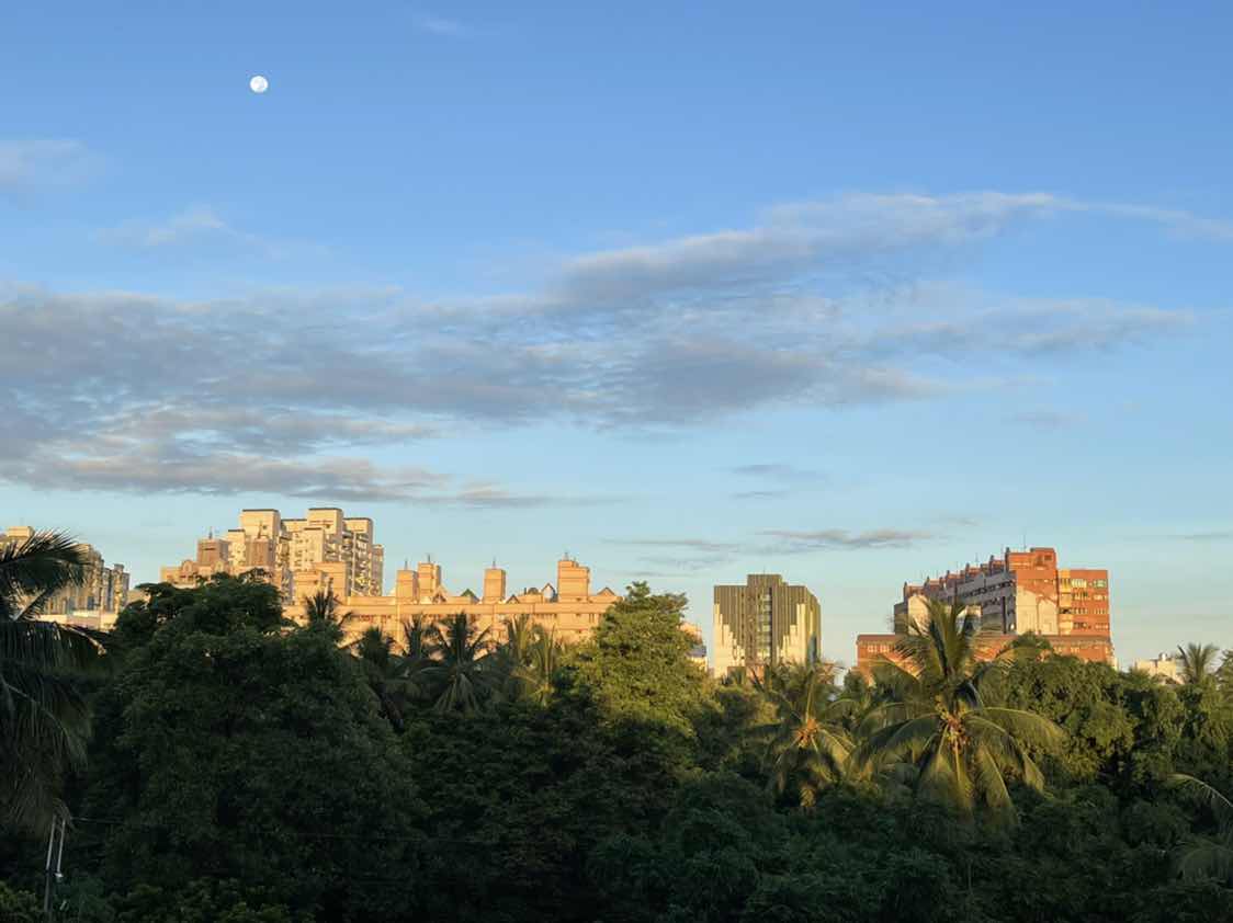 goodnovel comment avatar