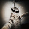 goodnovel comment avatar