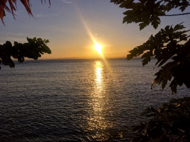 goodnovel comment avatar