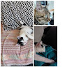 goodnovel comment avatar