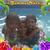goodnovel comment avatar