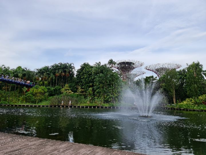 goodnovel comment avatar