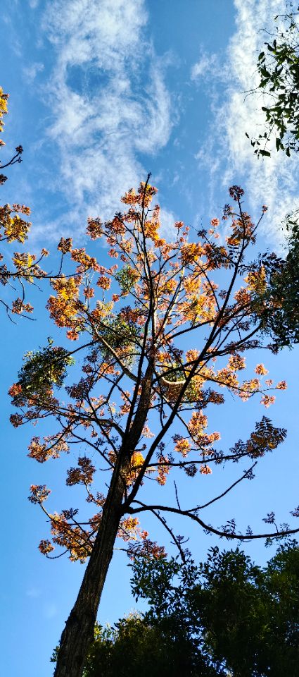 goodnovel comment avatar