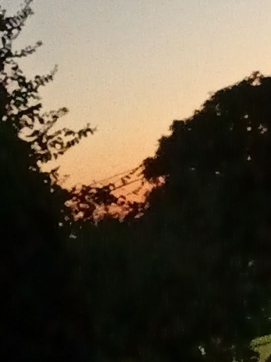 goodnovel comment avatar