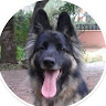 goodnovel comment avatar