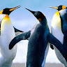goodnovel comment avatar