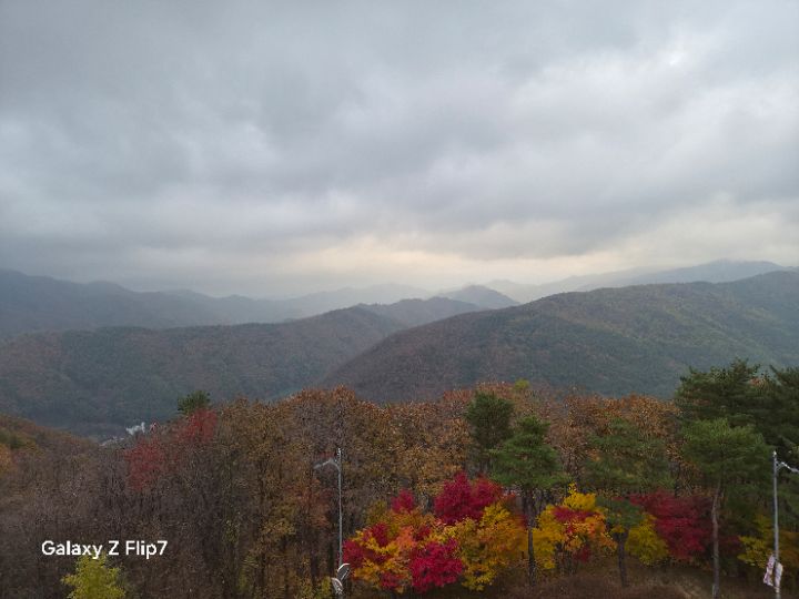 goodnovel comment avatar