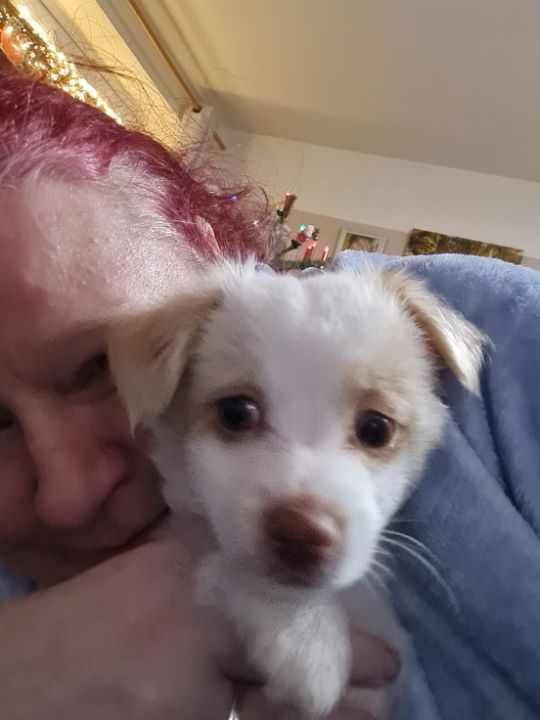 goodnovel comment avatar