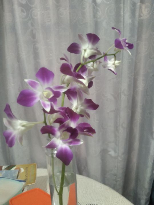 goodnovel comment avatar