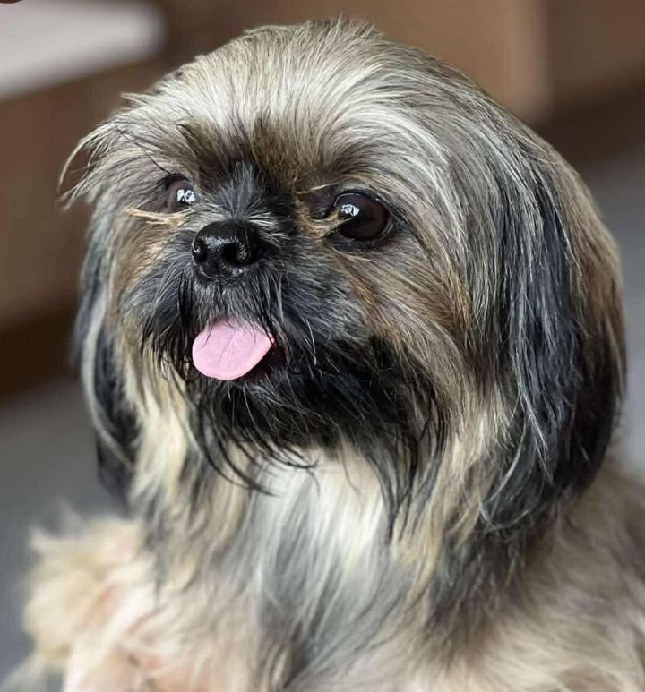 goodnovel comment avatar