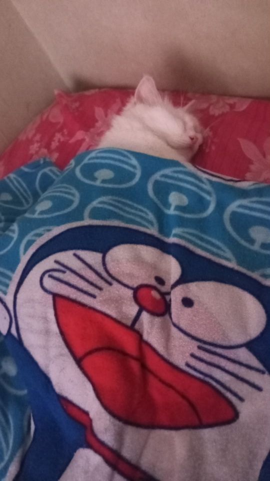 goodnovel comment avatar