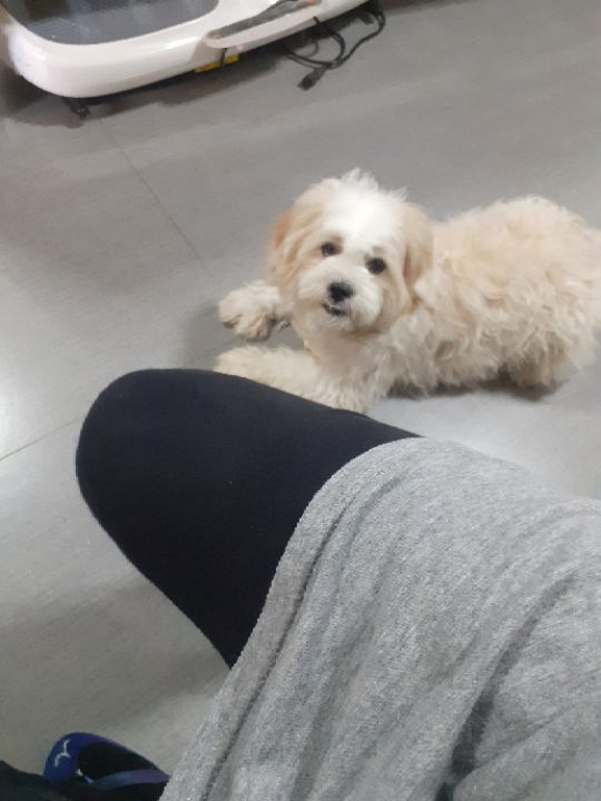 goodnovel comment avatar