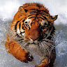 goodnovel comment avatar