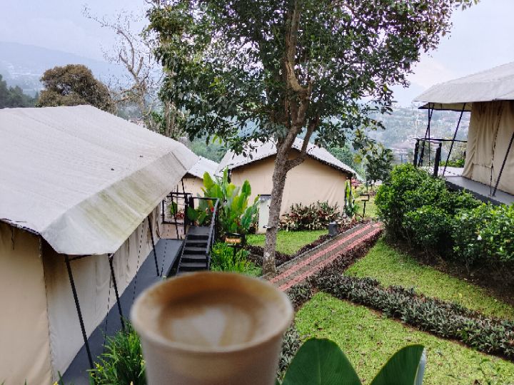 goodnovel comment avatar