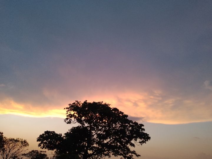 goodnovel comment avatar