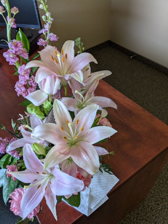 goodnovel comment avatar