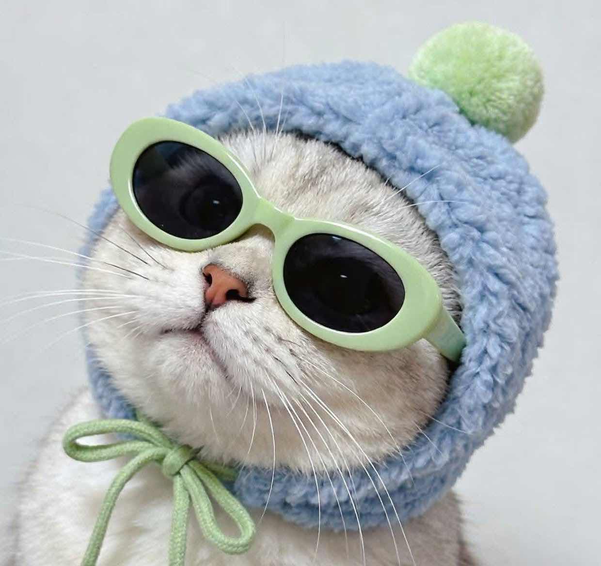 goodnovel comment avatar