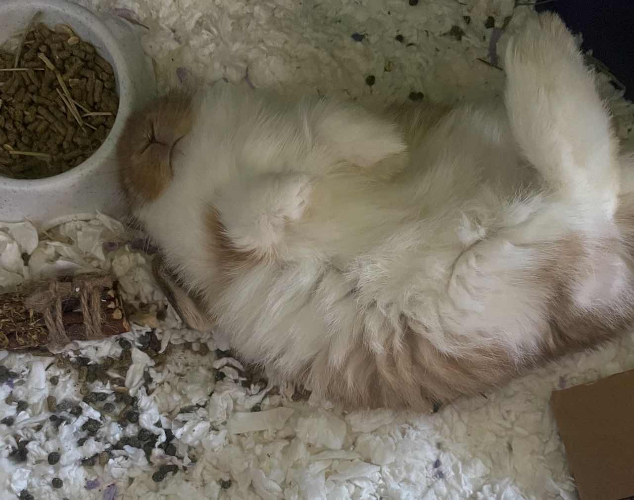 goodnovel comment avatar