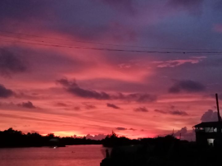 goodnovel comment avatar