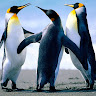 goodnovel comment avatar