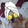 goodnovel comment avatar
