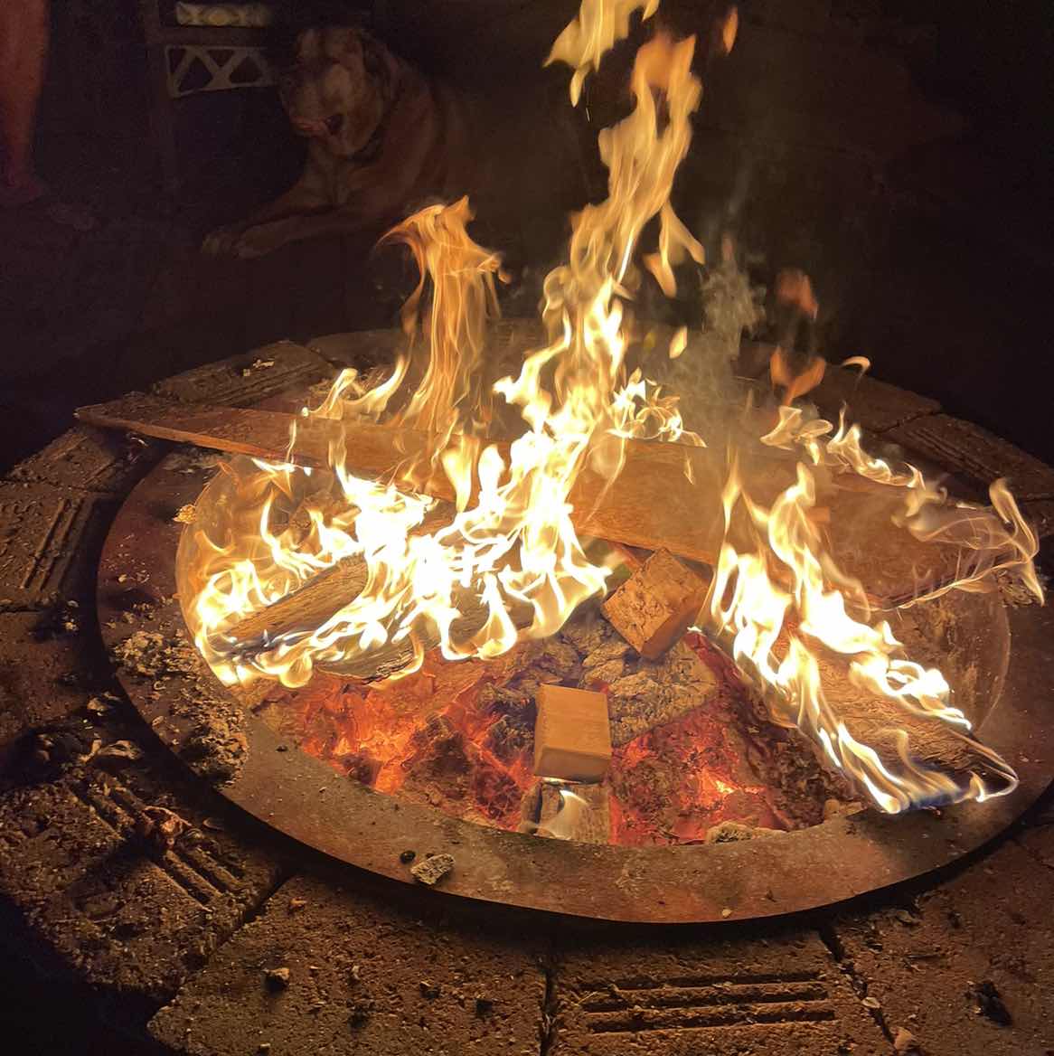 goodnovel comment avatar