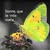 goodnovel comment avatar
