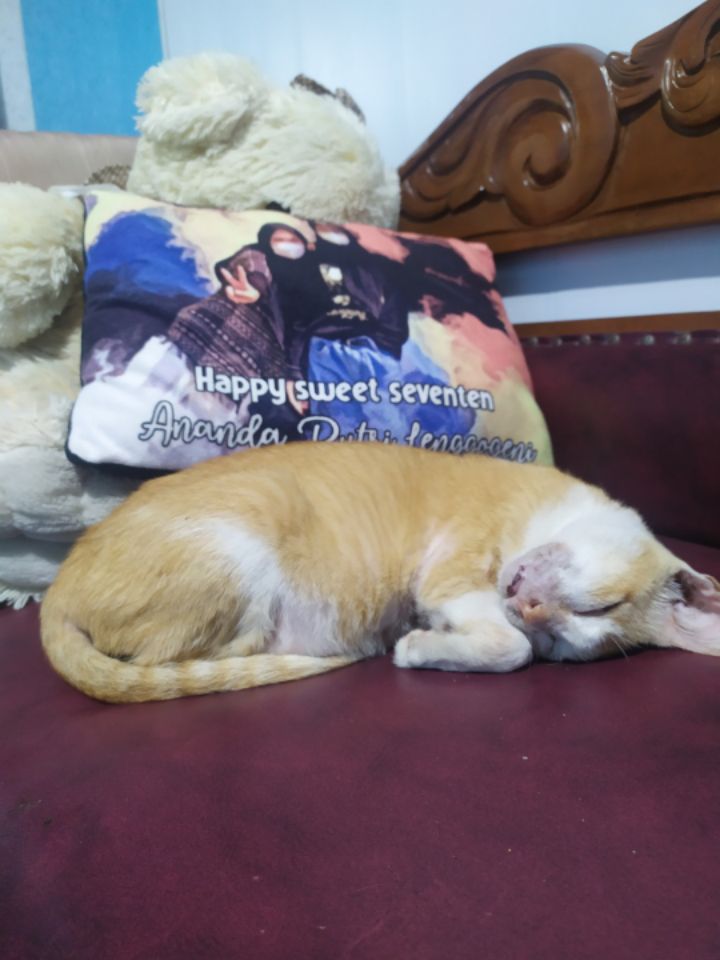 goodnovel comment avatar