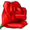 ROSA ELENA HERNANDEZ MEDINA