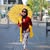 goodnovel comment avatar