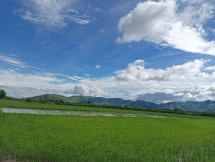 goodnovel comment avatar