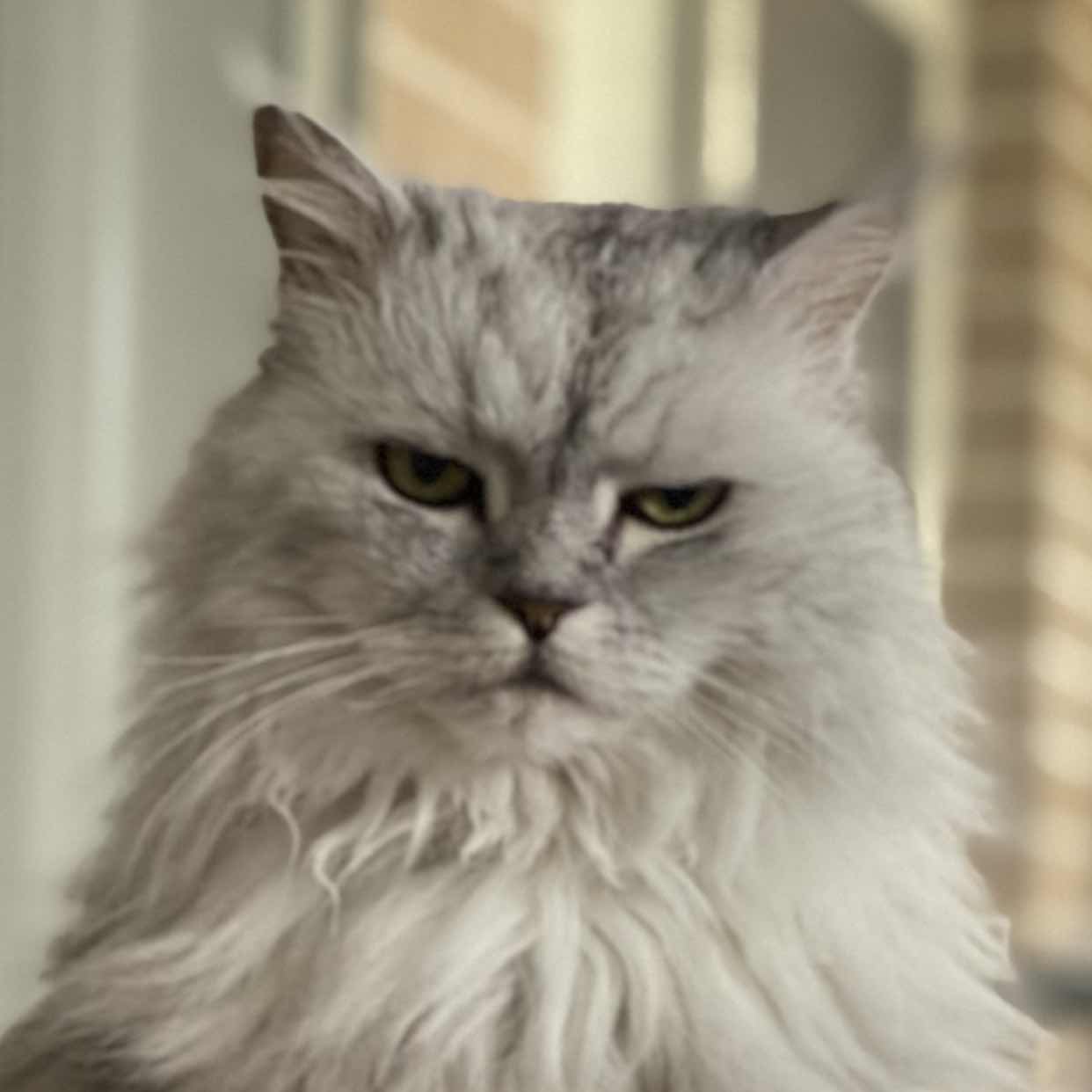 goodnovel comment avatar