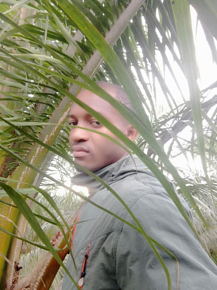 goodnovel comment avatar