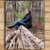 goodnovel comment avatar