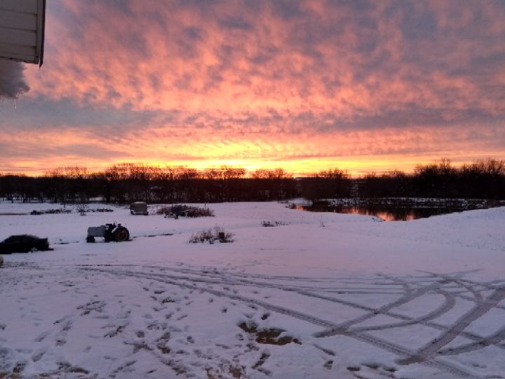 goodnovel comment avatar