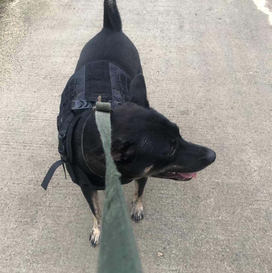 goodnovel comment avatar