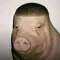 Mr. Pork Big Pig