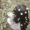goodnovel comment avatar
